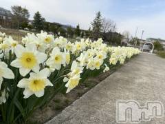 長野おっパブMILKYHEART(ミルキーハート) 楓の4月11日写メブログ「ひびきちゃんありがとう♪」