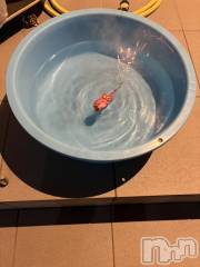 長野おっパブMILKYHEART(ミルキーハート) 楓の7月2日写メブログ「金魚花火♪」