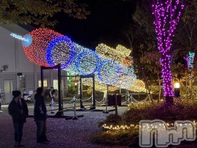 イルミネーション♪