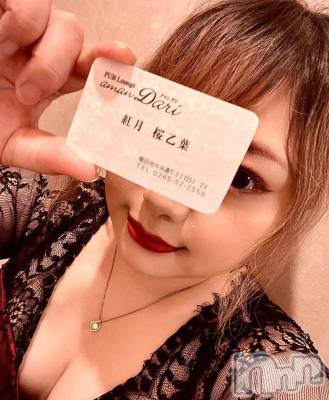 �ȷ� ������ ǯ��29�� / ��Ĺ155cm