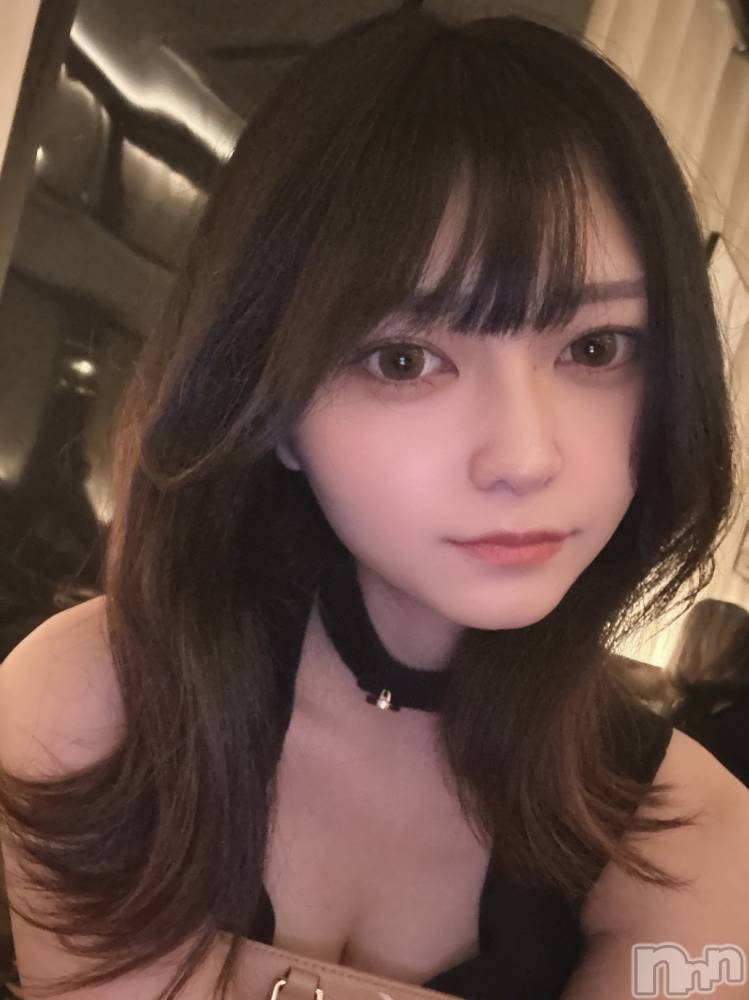 Х顦CLUB ALBATROSS(Хȥ) 82̥֥֤󤭤塼ʡ