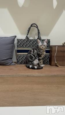 ��Ʋ����Х��顦�����clubTiara(�ƥ�����) �ߤ���1��3���̥�֥����֤����ޤ��Ƥ���ǤȤ�����♡��