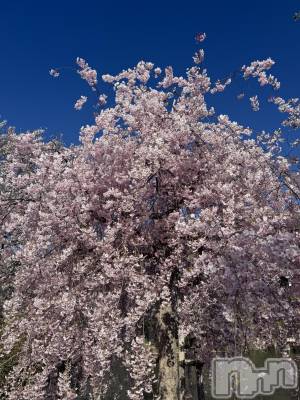 ��Ʋ����Х��顦�����clubTiara(�ƥ�����) �ߤ���4��16���̥�֥�����4��16��♡��