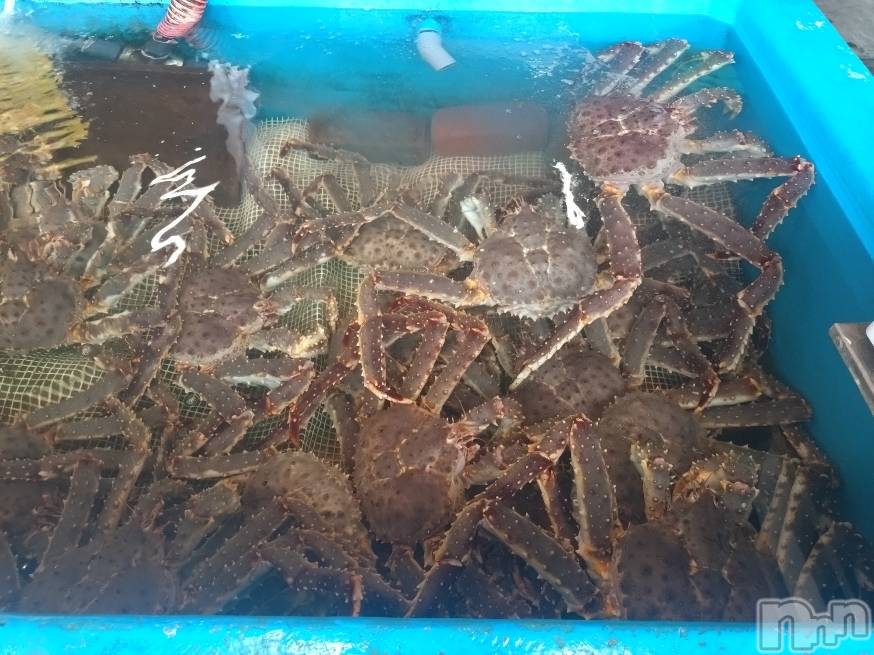 上越デリヘルHONEY(ハニー) あんり(48)の10月21日写メブログ「19日リピ様方ありがとう🌷」