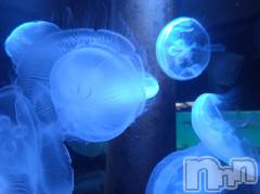 上越デリヘルHONEY(ハニー) あんり(48)の11月26日写メブログ「空き時間です🌷」