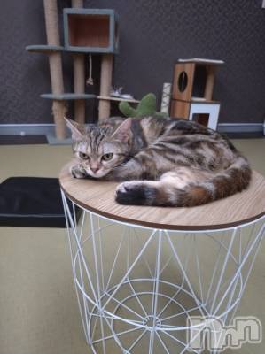 上越デリヘル HONEY(ハニー) あんり(48)の10月11日写メブログ「こんばんは🌛」