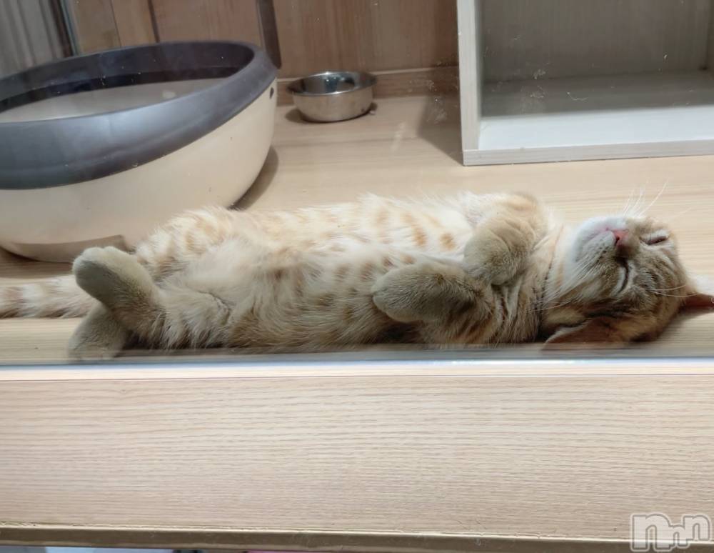 ��ë����Х��顦�����CLUB��Paladin(����֡��ѥ�ǥ���) �������10��18���̥�֥����֤��䤹��💤��