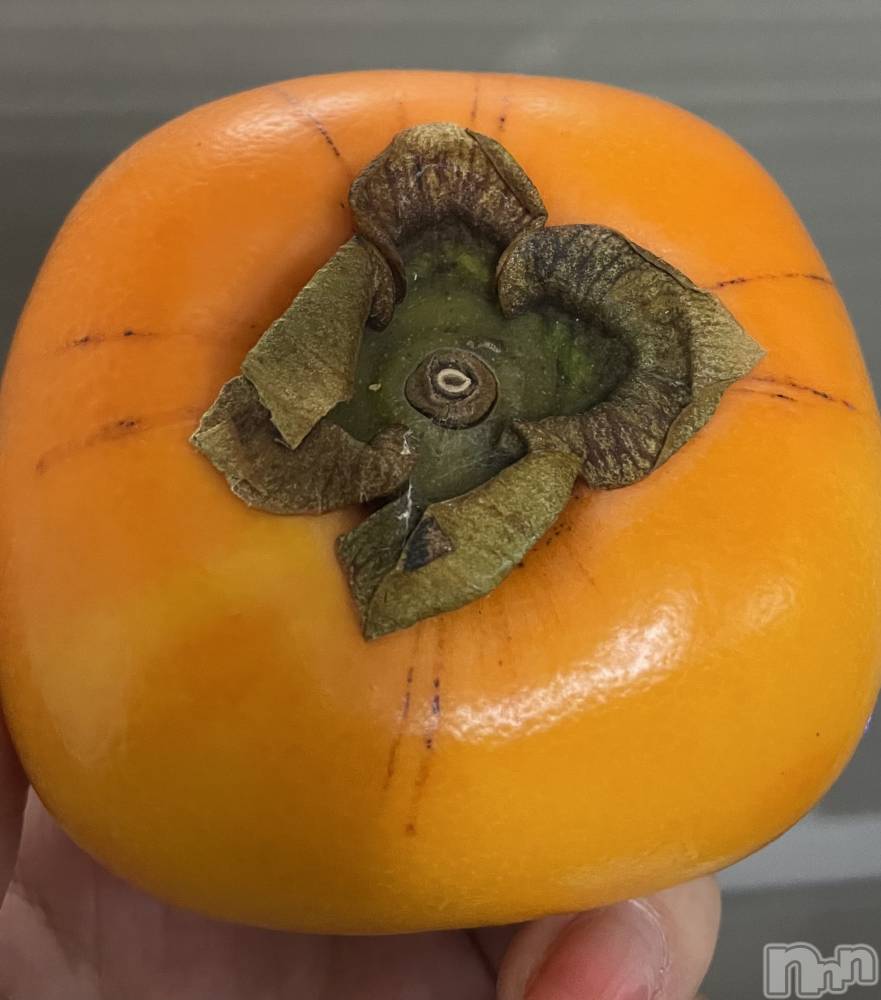 ��ë����Х��顦�����CLUB��Paladin(����֡��ѥ�ǥ���) �������11��9���̥�֥����֤�������💕��