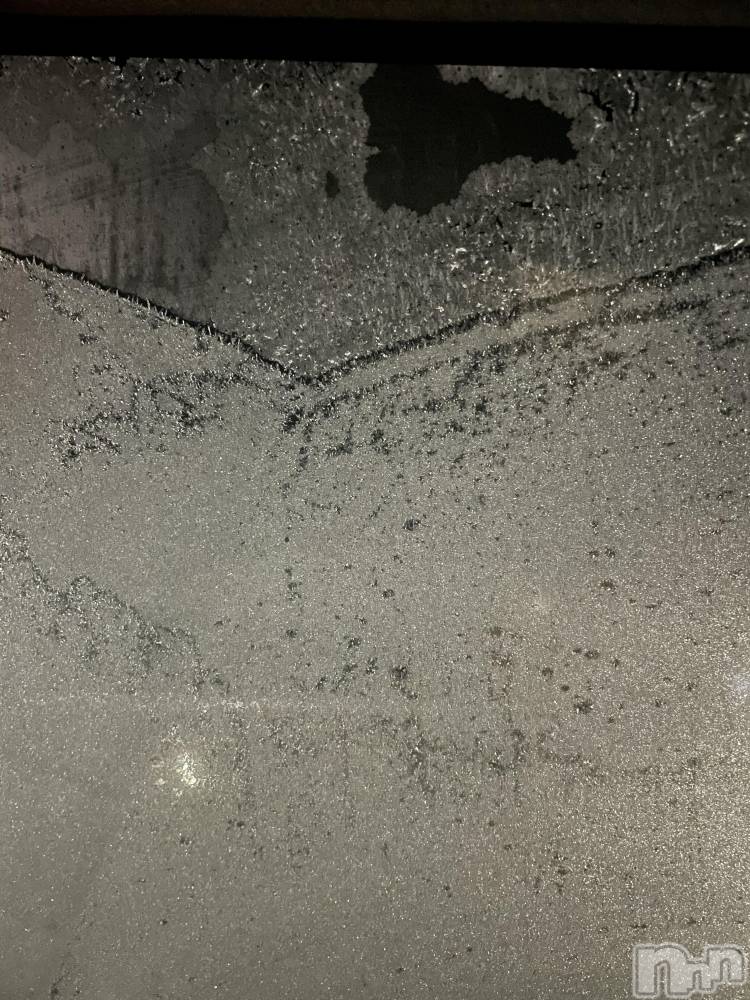 ��ë����Х��顦�����CLUB��Paladin(����֡��ѥ�ǥ���) �������12��3���̥�֥����֥Х�Х��