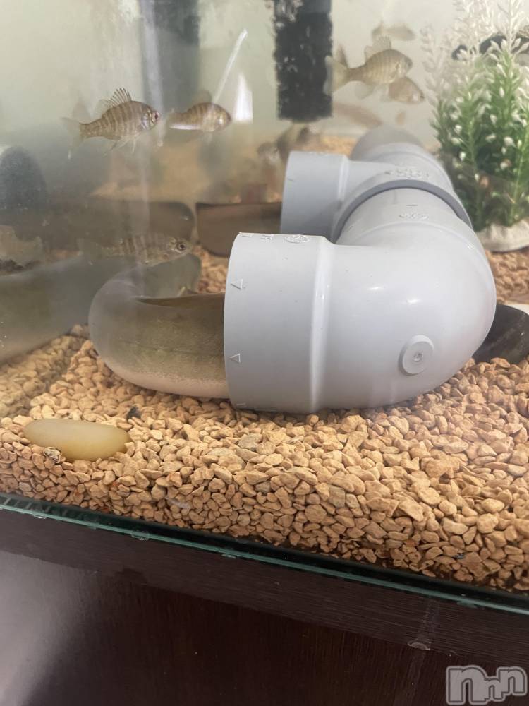 ��ë����Х��顦�����CLUB��Paladin(����֡��ѥ�ǥ���) �������12��12���̥�֥����֤ޤ����Υڥåȡ�