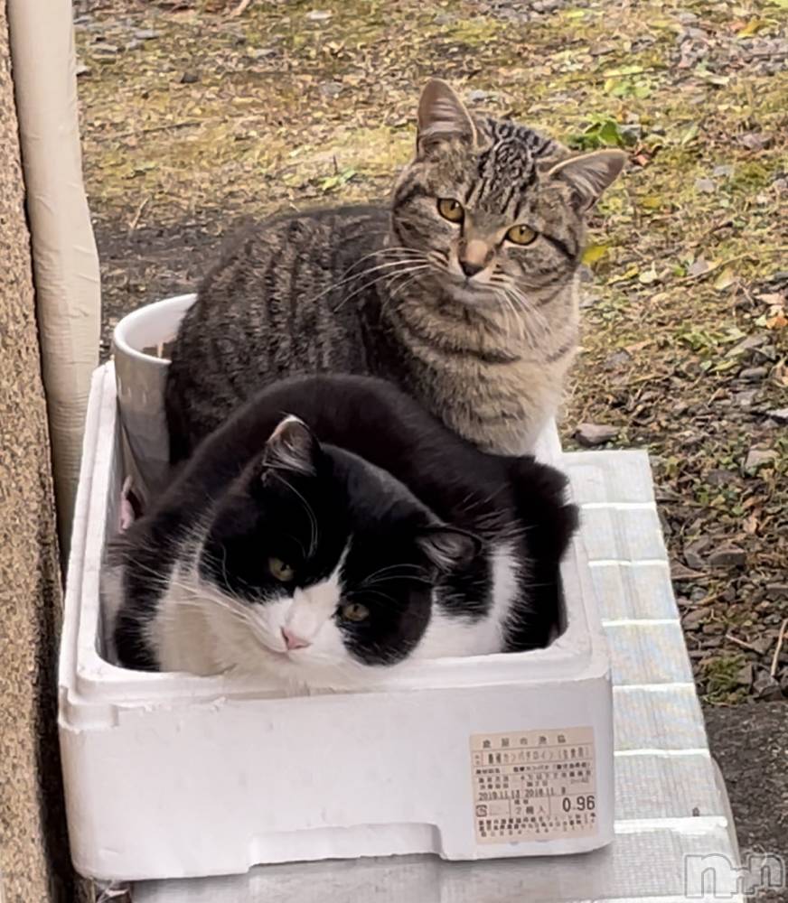 ��ë����Х��顦�����CLUB��Paladin(����֡��ѥ�ǥ���) �������12��30���̥�֥�����2023ǯ...������