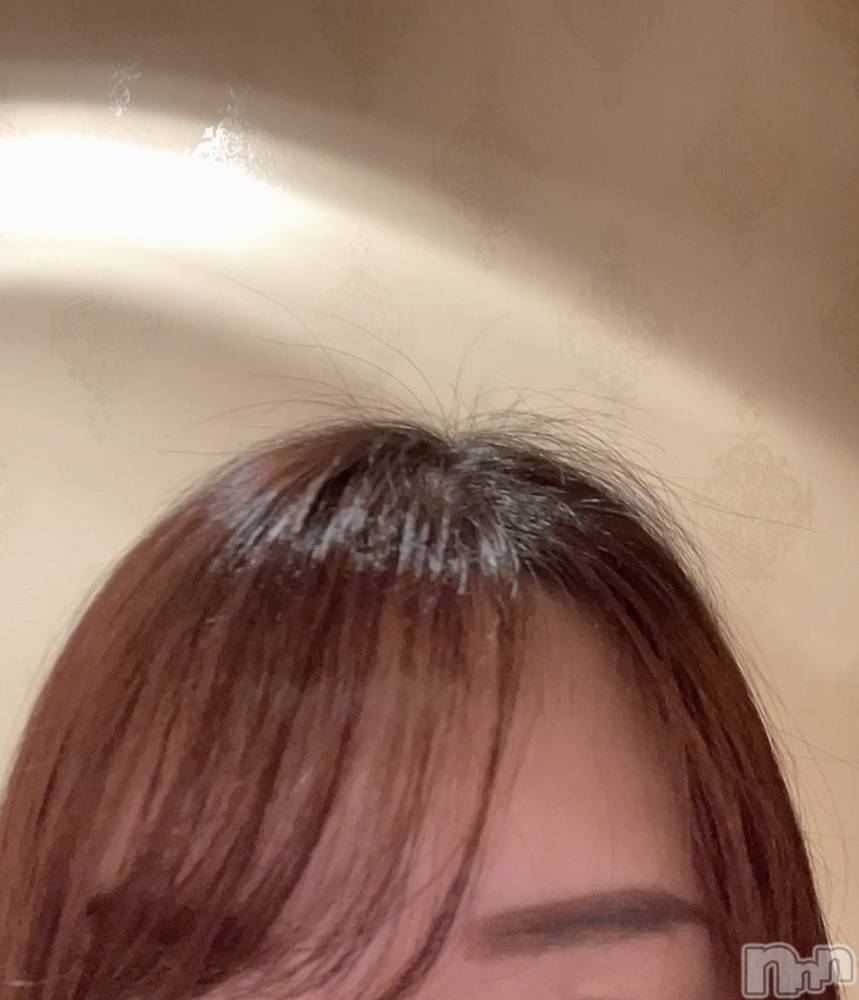 ��ë����Х��顦�����CLUB��Paladin(����֡��ѥ�ǥ���) �������1��29���̥�֥����ָ��ɡ�