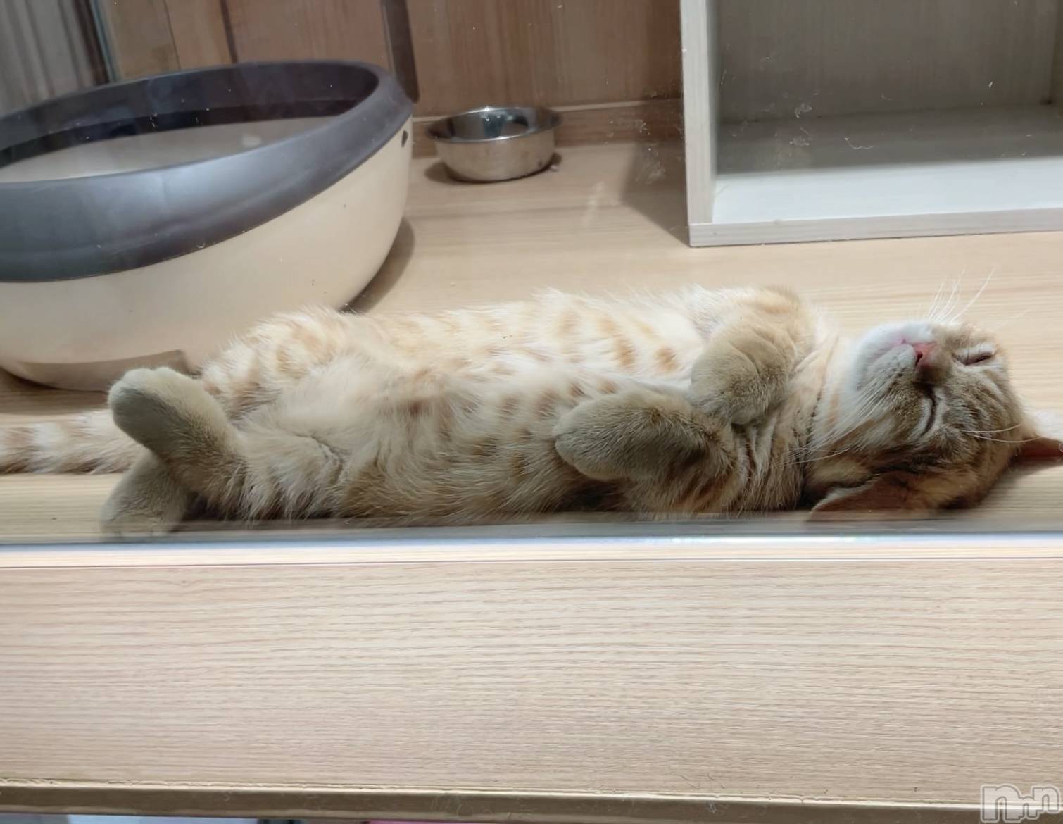 ��ë����Х��顦�����CLUB��Paladin(����֡��ѥ�ǥ���) ��2023ǯ10��18���̥�֥����֤��䤹��💤��