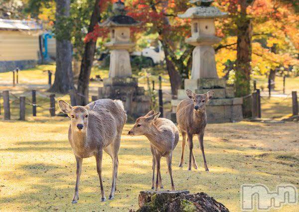 ��ë����Х��顦�����CLUB��Paladin(����֡��ѥ�ǥ���) ��2023ǯ11��3���̥�֥����֤ȤäƤ⵮�Ť��θ�...����