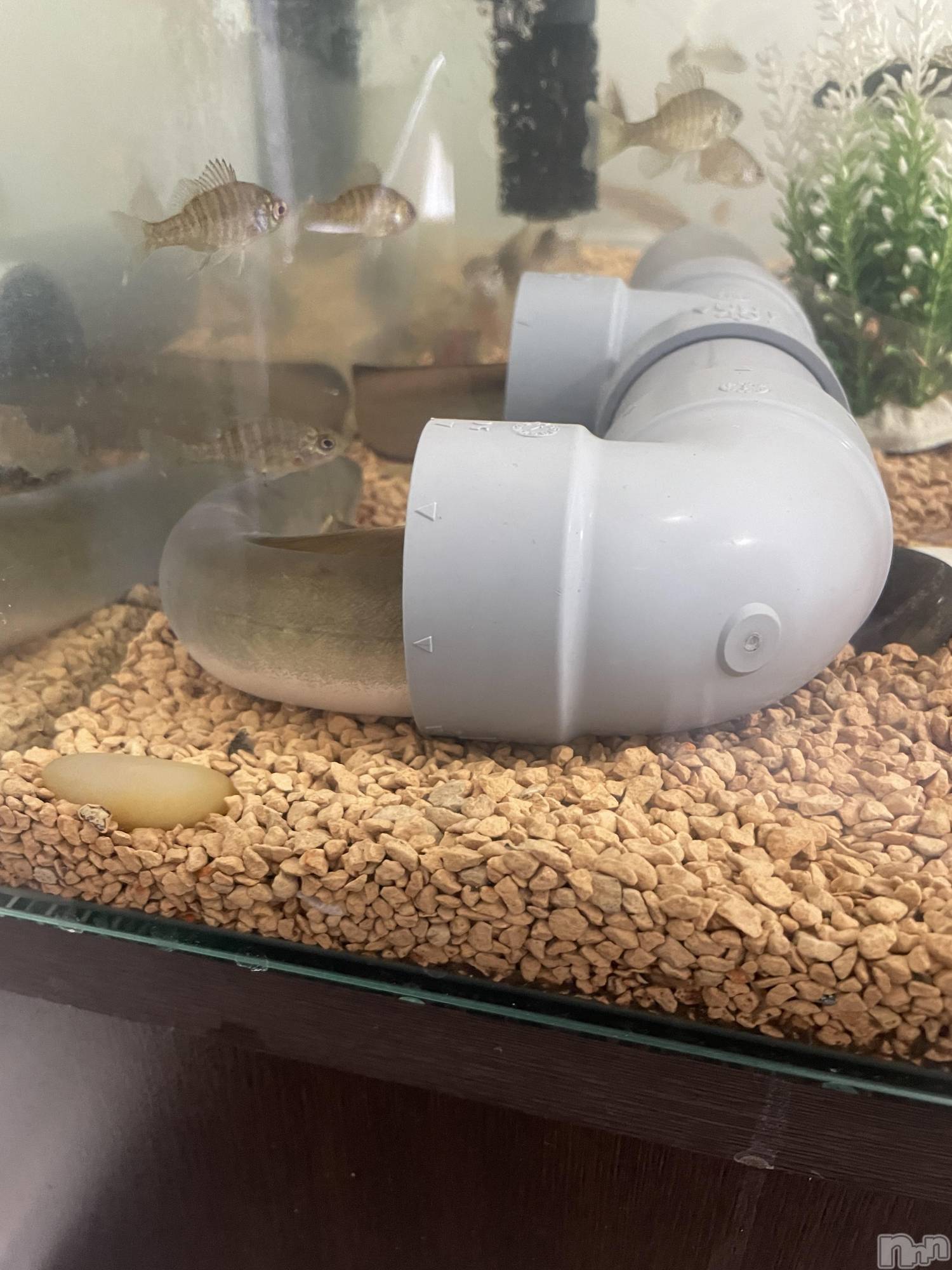 ��ë����Х��顦�����CLUB��Paladin(����֡��ѥ�ǥ���) ��2023ǯ12��12���̥�֥����֤ޤ����Υڥåȡ�