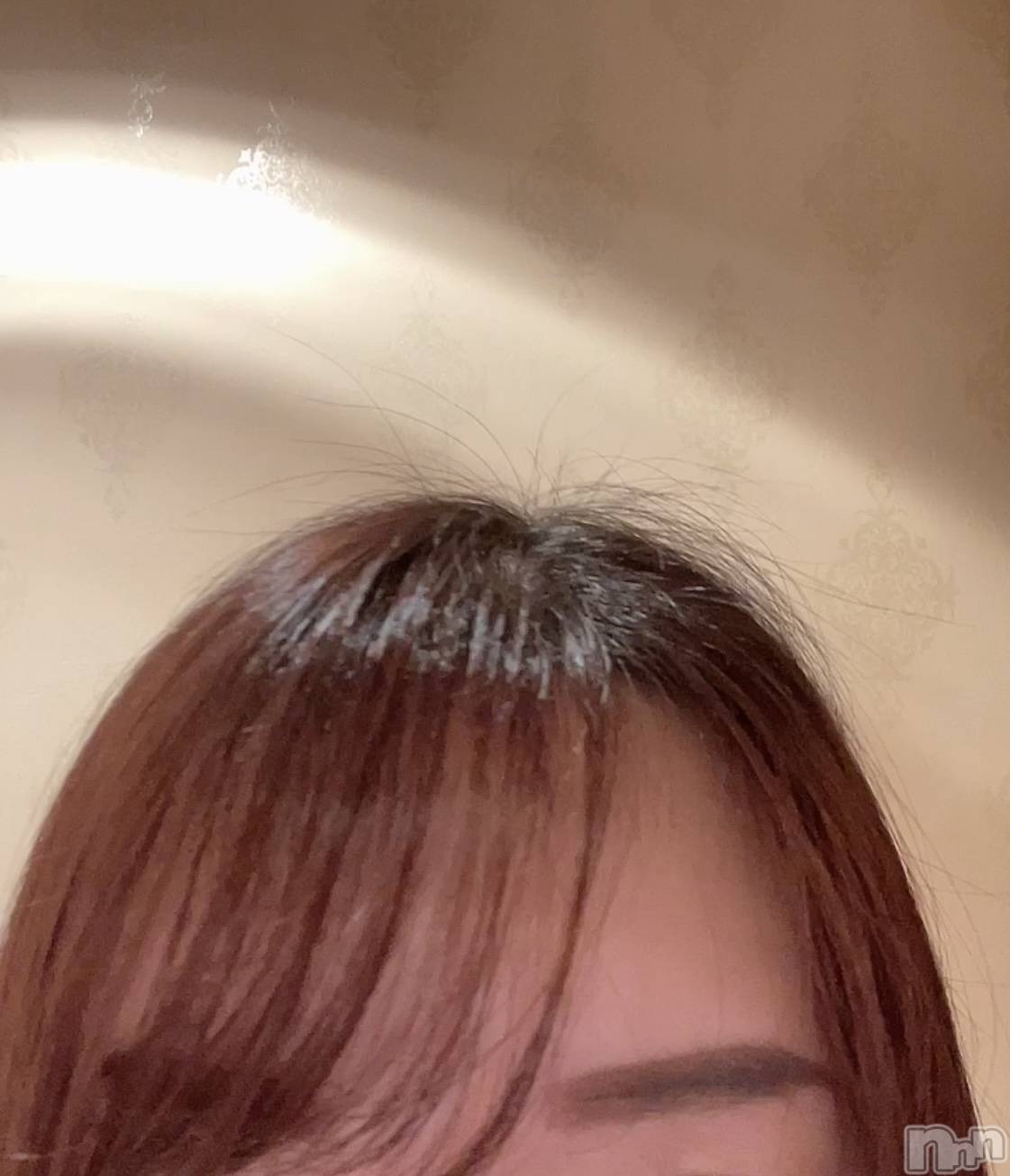 ��ë����Х��顦�����CLUB��Paladin(����֡��ѥ�ǥ���) ��2024ǯ1��29���̥�֥����ָ��ɡ�