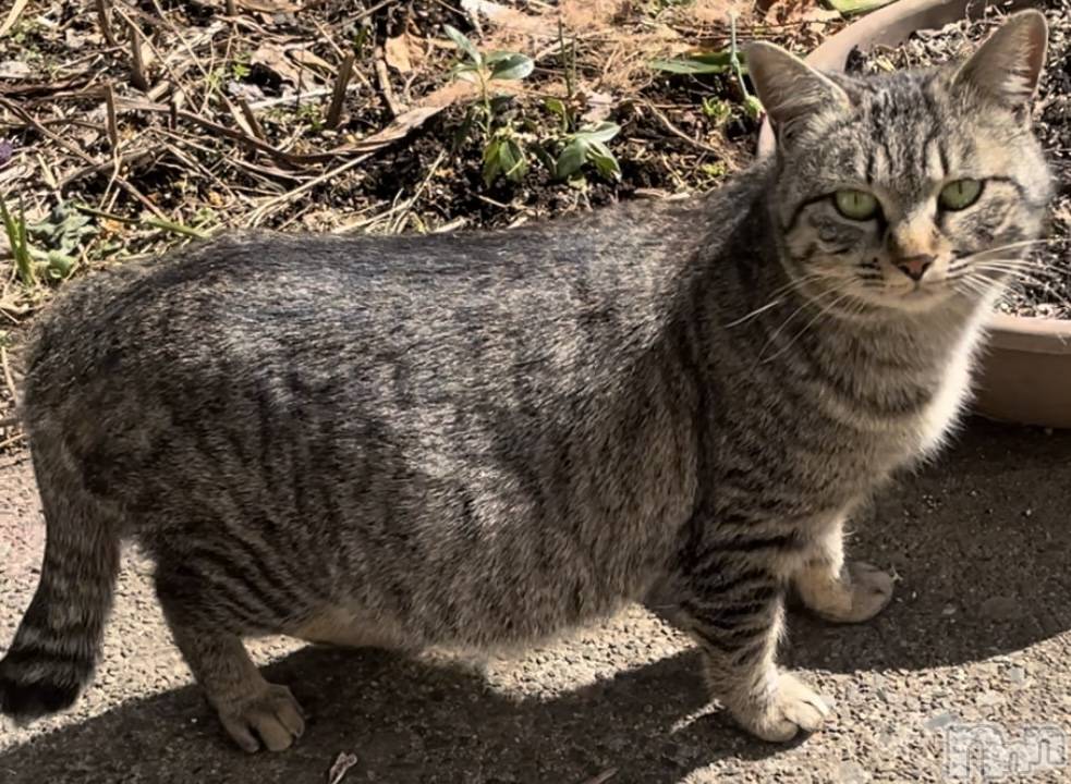 ��ë����Х��顦�����CLUB��Paladin(����֡��ѥ�ǥ���) ��2024ǯ3��22���̥�֥����֤���Ǥ�...🫢��