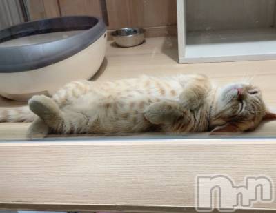 ��ë����Х��顦�����CLUB��Paladin(����֡��ѥ�ǥ���) �������10��18���̥�֥����֤��䤹��💤��