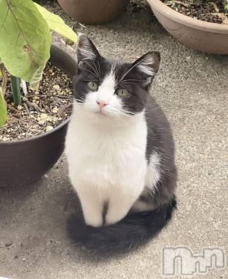 ��ë����Х��顦�����CLUB��Paladin(����֡��ѥ�ǥ���) �������10��19���̥�֥����֥���🐱💕��