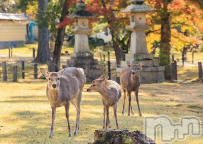 ��ë����Х��顦�����CLUB��Paladin(����֡��ѥ�ǥ���) �������11��3���̥�֥����֤ȤäƤ⵮�Ť��θ�...����