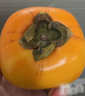 ��ë����Х��顦�����CLUB��Paladin(����֡��ѥ�ǥ���) �������11��9���̥�֥����֤�������💕��