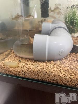 ��ë����Х��顦�����CLUB��Paladin(����֡��ѥ�ǥ���) �������12��12���̥�֥����֤ޤ����Υڥåȡ�