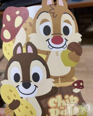 ��ë����Х��顦�����CLUB��Paladin(����֡��ѥ�ǥ���) �������1��6���̥�֥����֤�ǯ��💕��