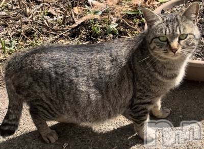 ��ë����Х��顦�����CLUB��Paladin(����֡��ѥ�ǥ���) �������3��22���̥�֥����֤���Ǥ�...🫢��