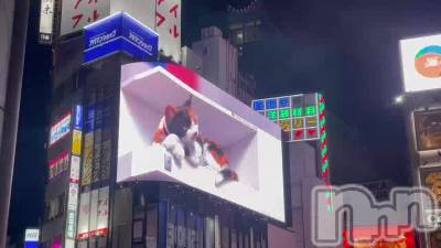 ���ɤ�ǭ�����🐈⸒⸒⸒⸒