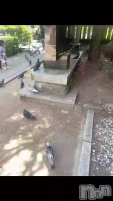 🕊𓂃𓈒𓏸︎︎︎︎