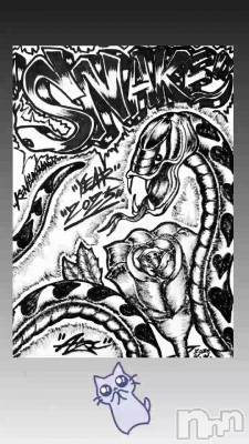 �����פ�...🐍✨