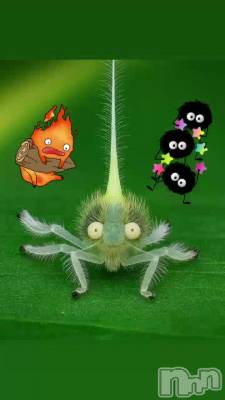 ���֥��ӥå����( Ꙭ)