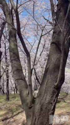 �ߤ錄��������...