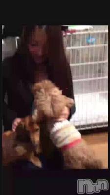 �����ø��ˤ��Ƥۤ���...