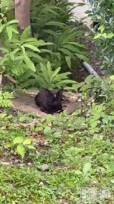 ��ʤ������á���🐈‍⬛🌙