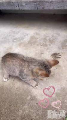 �жлĤ�8��‼️