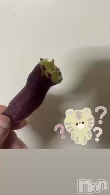 ���������κ����դ��...