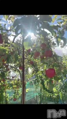 ���🍎‪ 𓈒𓏸