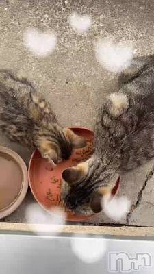 6��27�� 07��05ʬ�Υ֥���