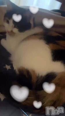 �������ޤꤿ����Ǻ¤äƤ��뤽�λѤ�...