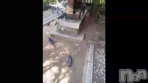 ��🕊𓂃𓈒𓏸︎︎︎︎��