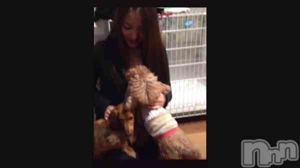 �֤����ø��ˤ��Ƥۤ���...��