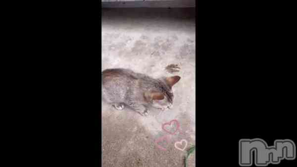 �ֽжлĤ�8��‼️��