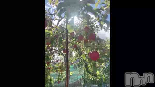 �֥��🍎‪ 𓈒𓏸��