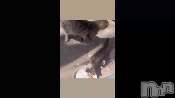 �֥ȥ�ߤ���󤬻�ǭ�Υȥ饳������Ϣ����褿�ΤǤ�...🐈⸒⸒⸒⸒💕��