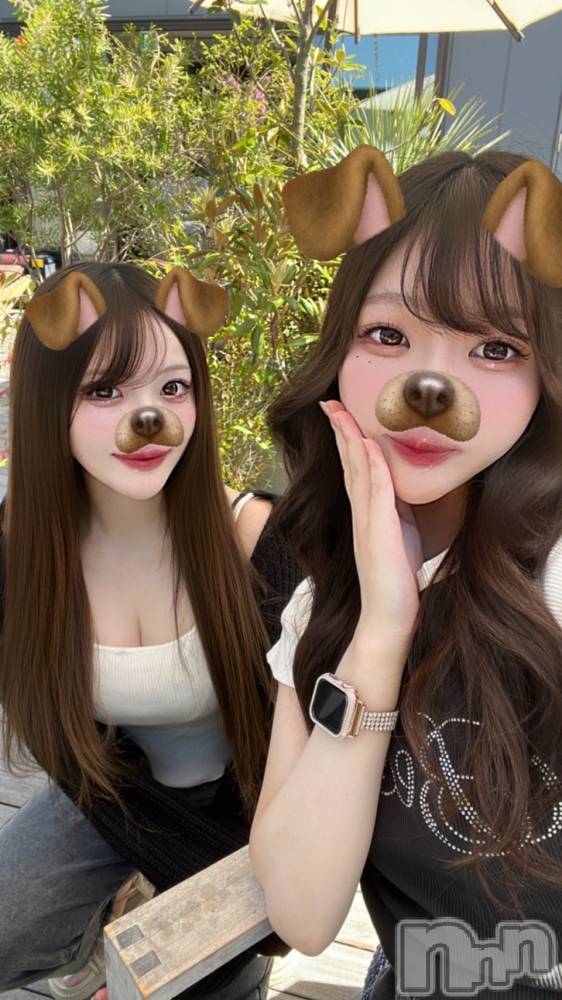 ܱʥå륺СGirls bar Zenith(륺С˥) ή 531̥֥531 2034ʬΥ֥