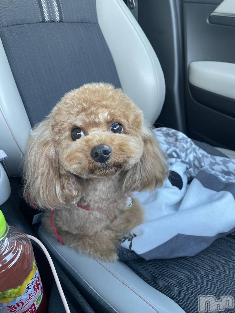 ���ܱ������ʥå��������륺�С�Girls bar Zenith(�����륺�С����˥�) ή�� ����1��21���̥�֥����֤פ�פ�٥�����𐔌���- · -���𐦯��