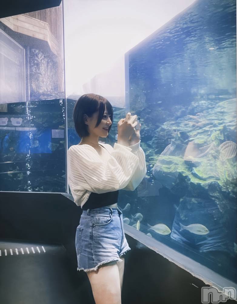 ���ܱ������ʥå��������륺�С�Girls bar Zenith(�����륺�С����˥�) ����8��4���̥�֥����֤���2��✂️��