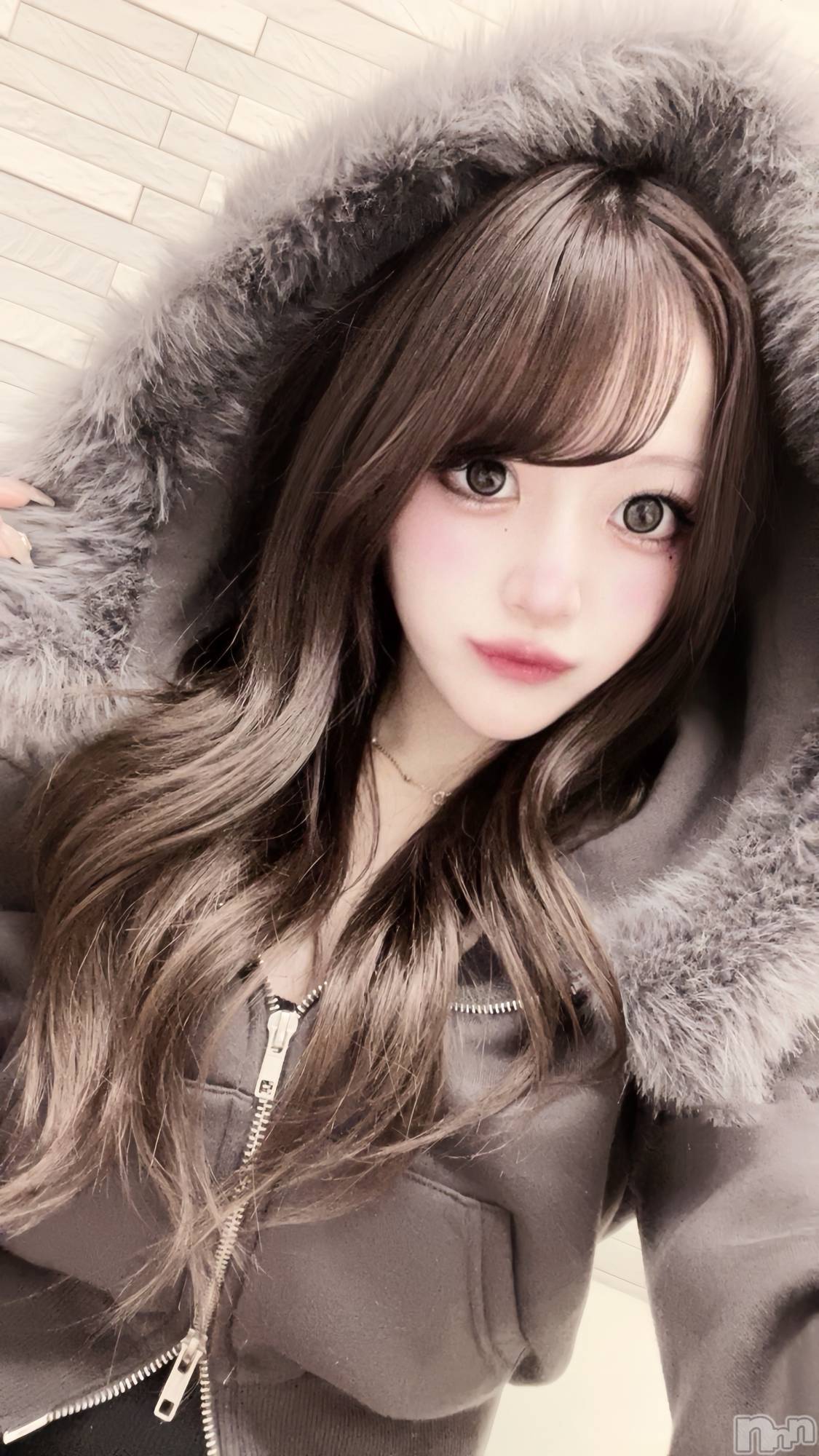 ܱʥå륺СGirls bar Zenith(륺С˥) 2024ǯ1018̥֥🐺🩶