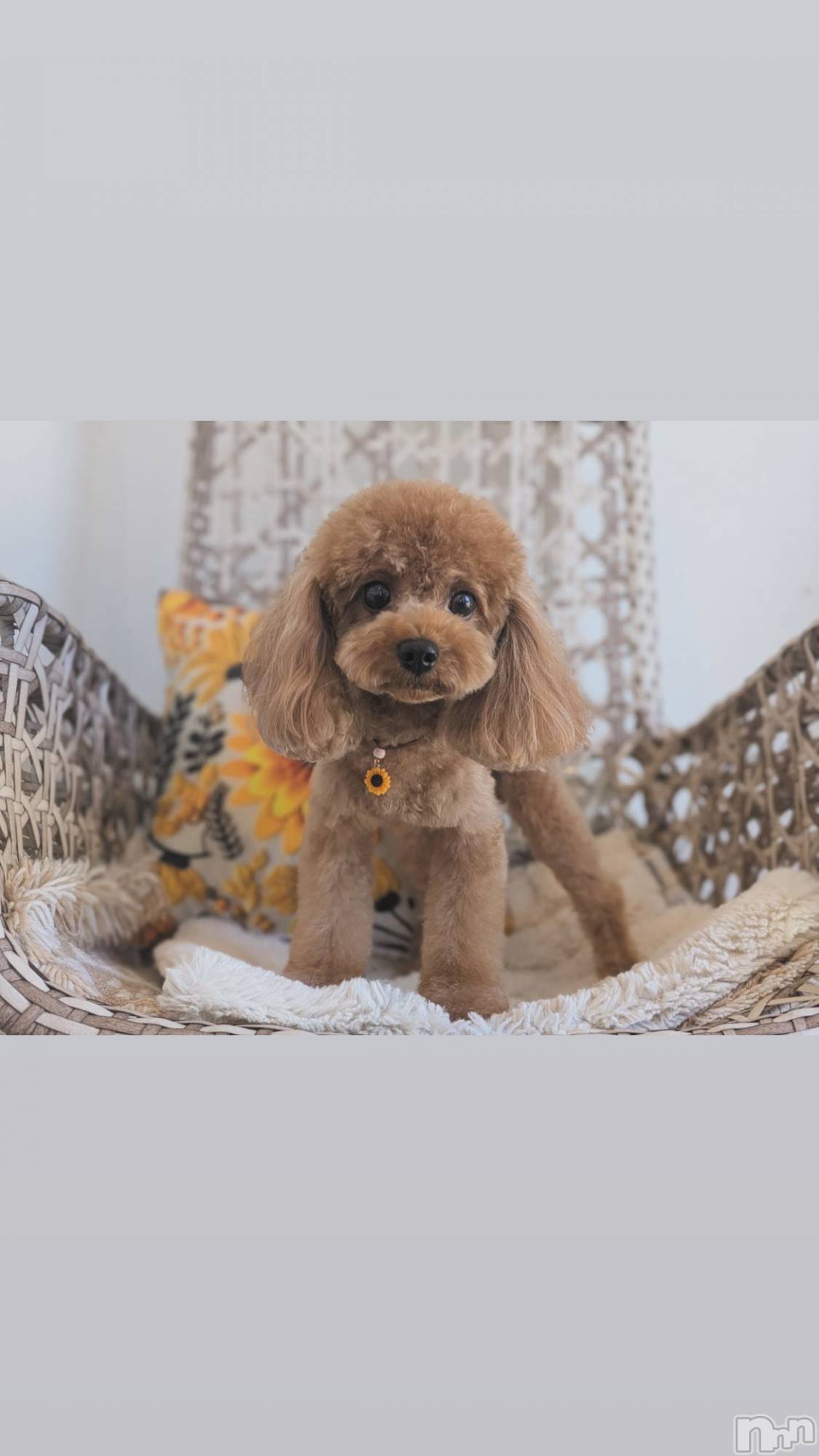 ܱʥå륺СGirls bar Zenith(륺С˥) 2025ǯ910̥֥ᐡ ʚ̴̶̷ ‧̫ ʚ̴̶̷̥̀ ᐡ